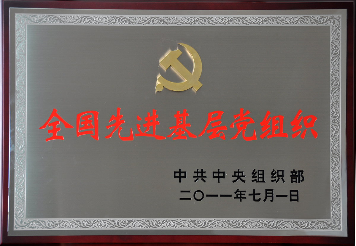 2011年7月，紅豆集團(tuán)黨委榮獲“全國(guó)先進(jìn)基層黨組織”稱(chēng)號(hào)